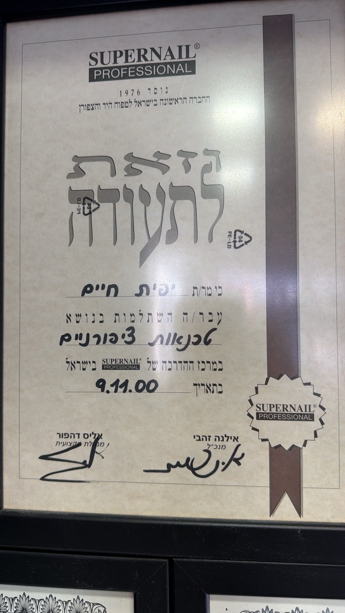 תעודת הסמכה מקצועית של יפית לגזיאל